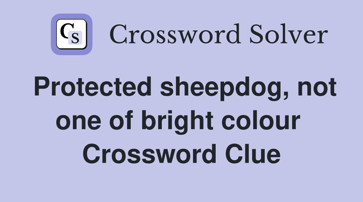 Protected sheepdog, not one of bright colour  Crossword Clue