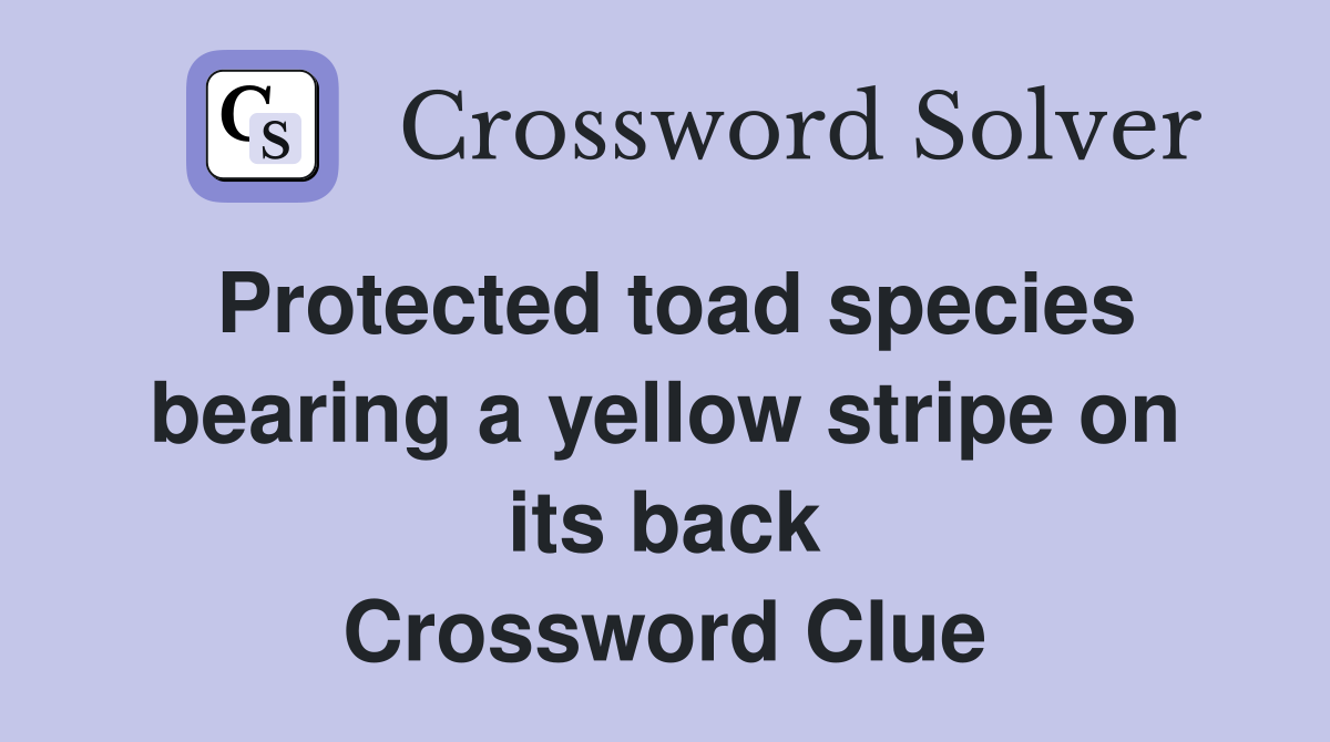 Protected toad species bearing a yellow stripe on its back Crossword Clue