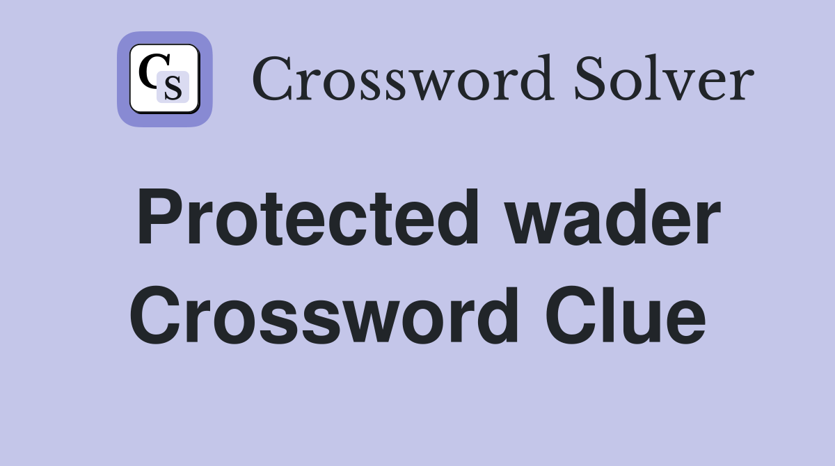Protected wader Crossword Clue