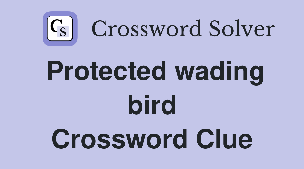 Protected wading bird Crossword Clue