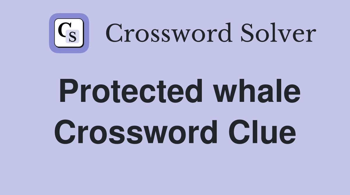 Protected whale Crossword Clue