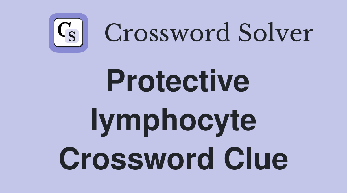 Protective lymphocyte Crossword Clue