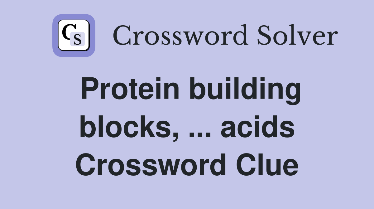 Protein building blocks, ... acids Crossword Clue