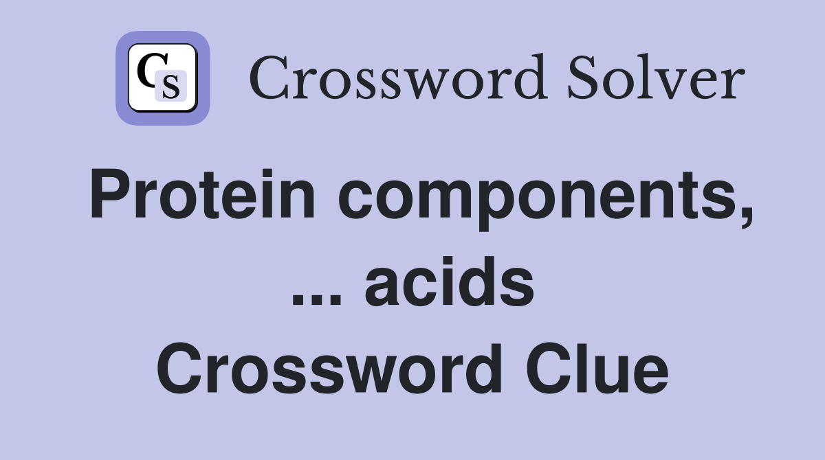 Protein components, ... acids Crossword Clue