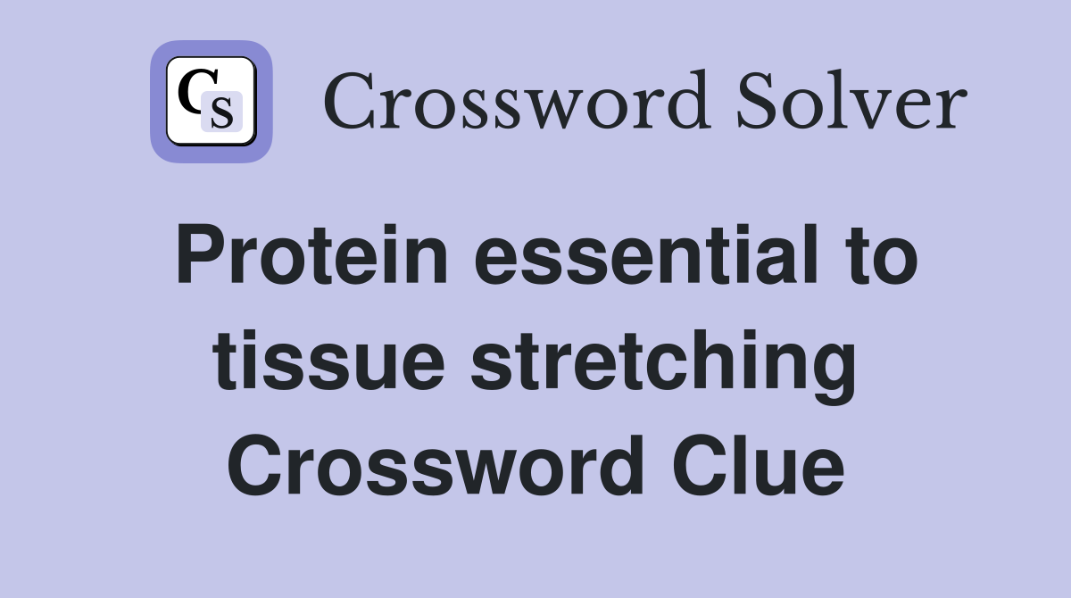 Protein essential to tissue stretching Crossword Clue