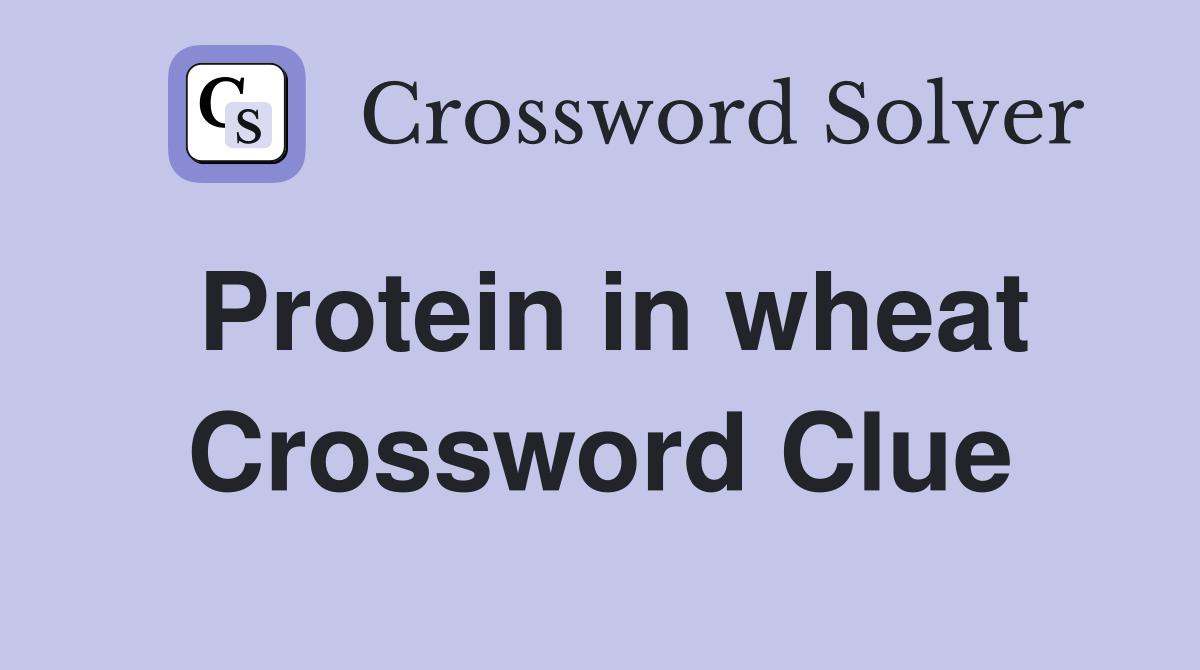 Protein in wheat Crossword Clue
