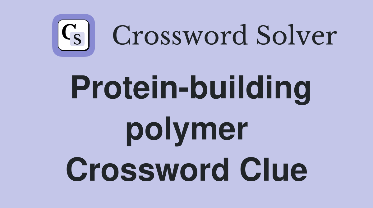 Protein-building polymer Crossword Clue