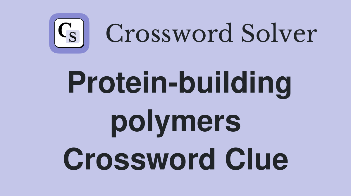 Protein-building polymers Crossword Clue