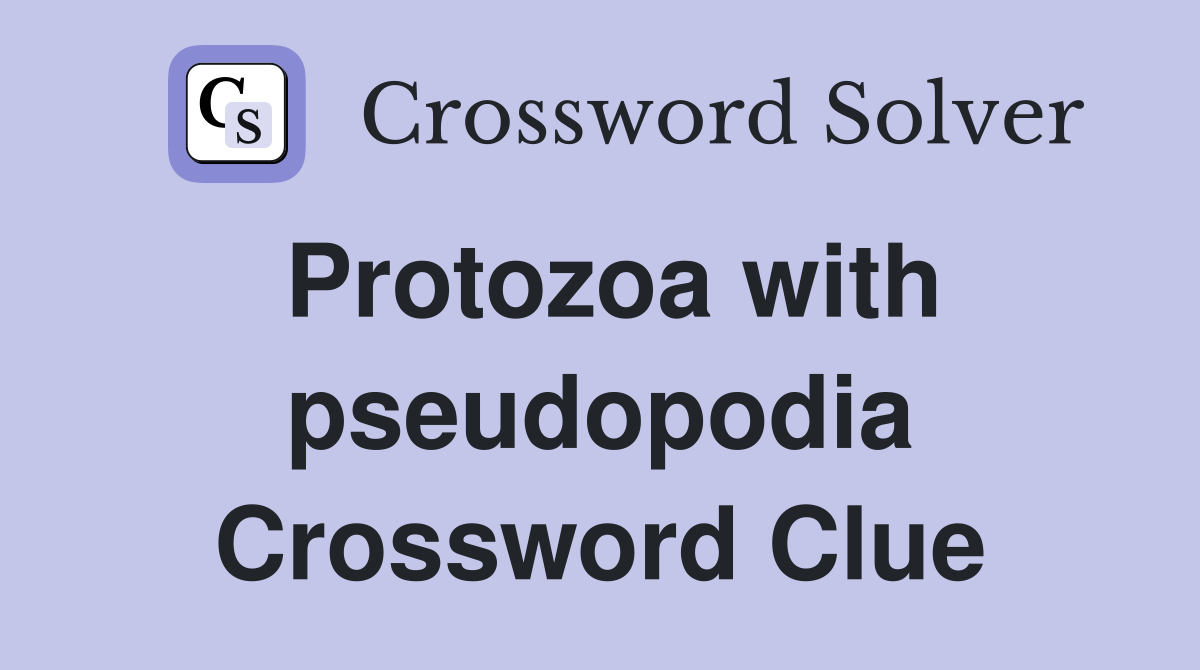 Protozoa with pseudopodia Crossword Clue
