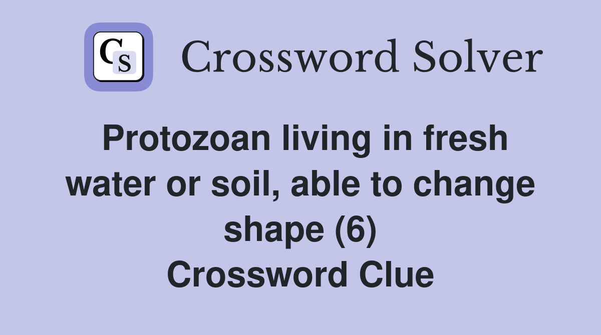 Protozoan living in fresh water or soil, able to change shape (6) Crossword Clue