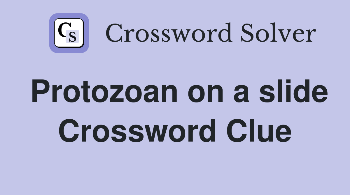Protozoan on a slide Crossword Clue