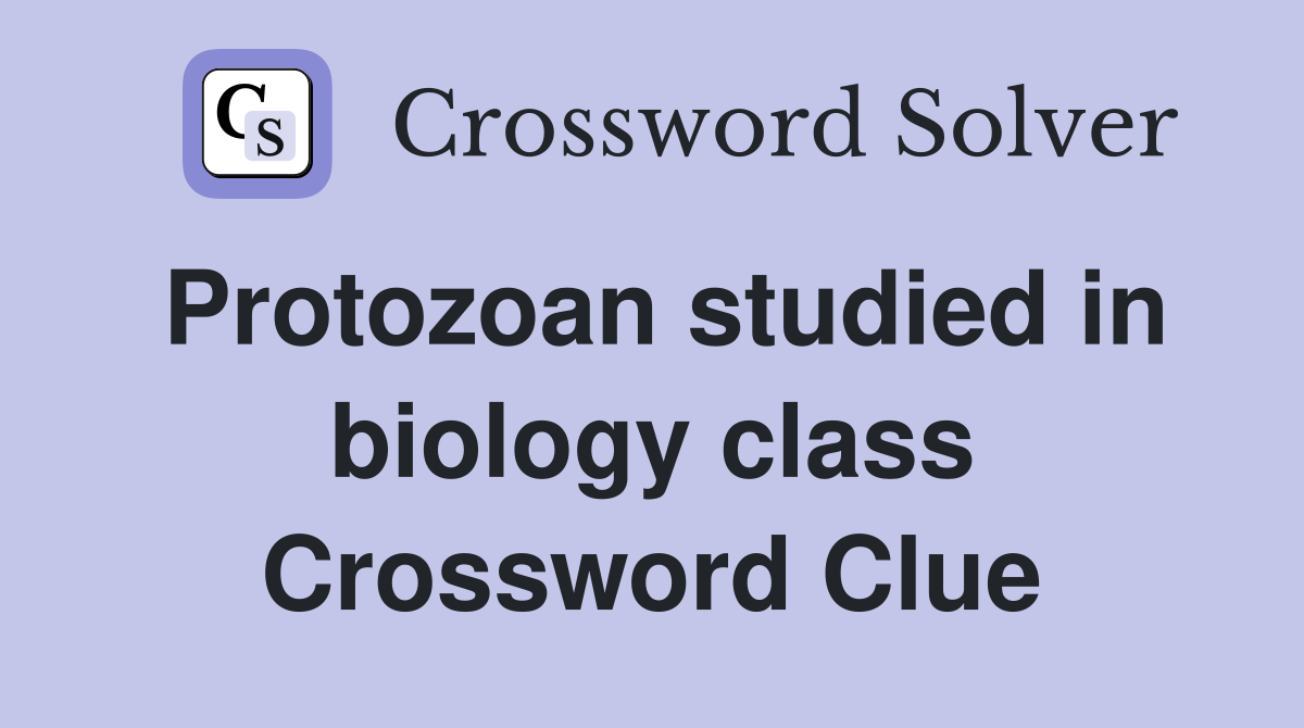 Protozoan studied in biology class Crossword Clue