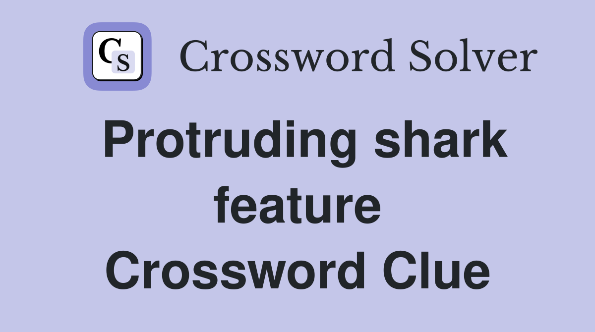 Protruding shark feature Crossword Clue