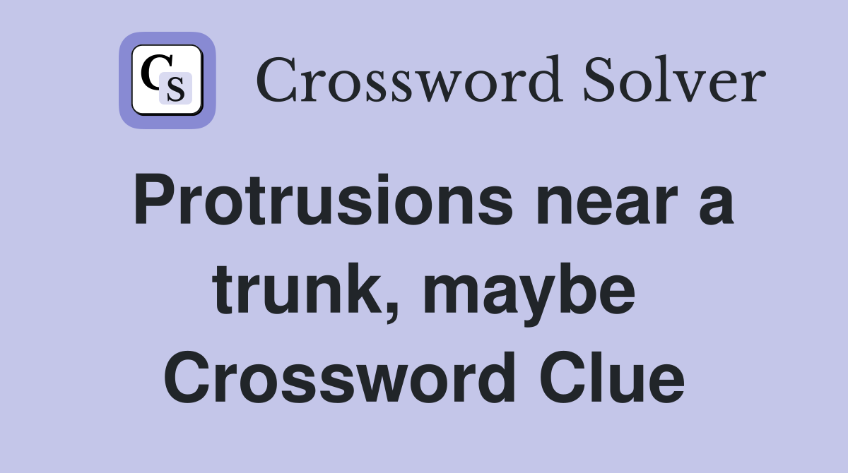 Protrusions near a trunk, maybe Crossword Clue