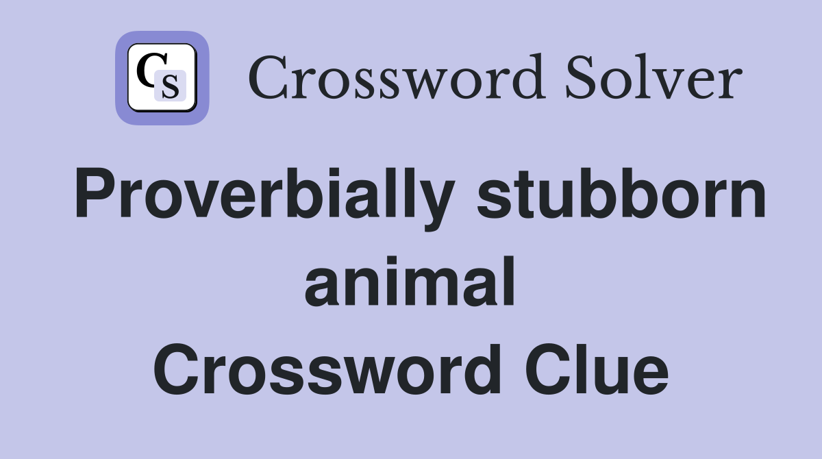Proverbially stubborn animal Crossword Clue