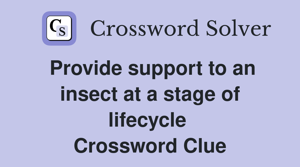 Provide support to an insect at a stage of lifecycle  Crossword Clue