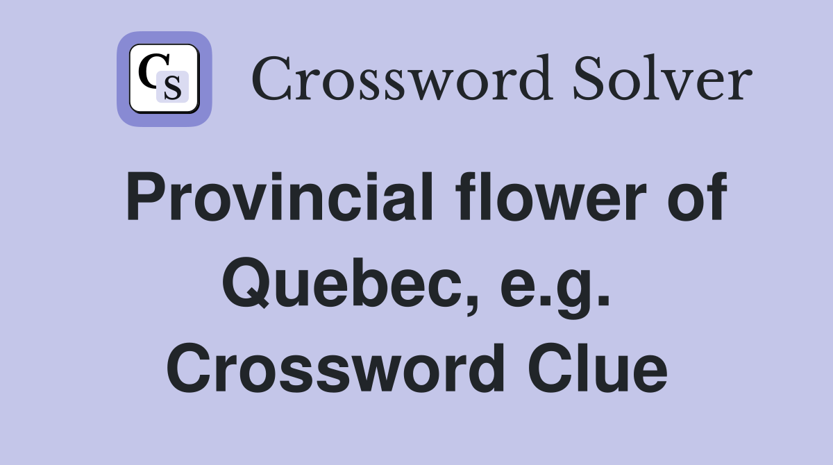 Provincial flower of Quebec, e.g. Crossword Clue