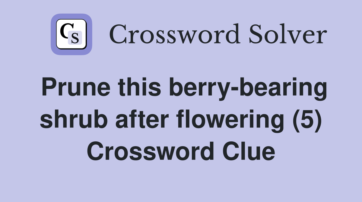 Prune this berry-bearing shrub after flowering (5) Crossword Clue