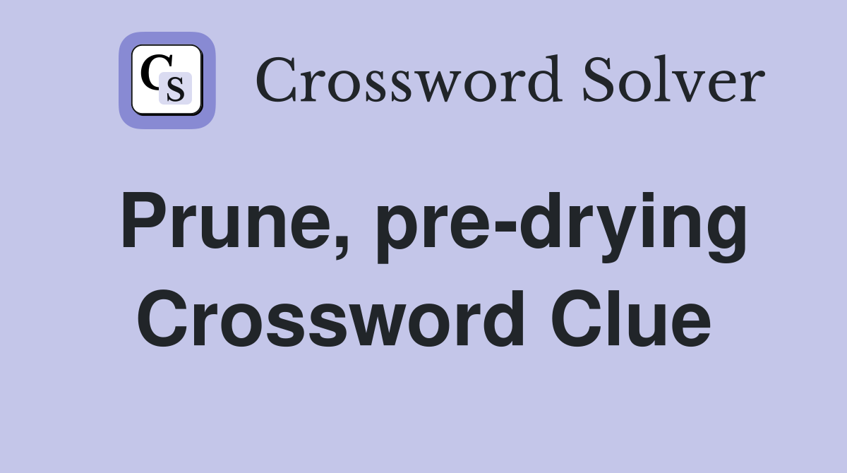 Prune, pre-drying Crossword Clue