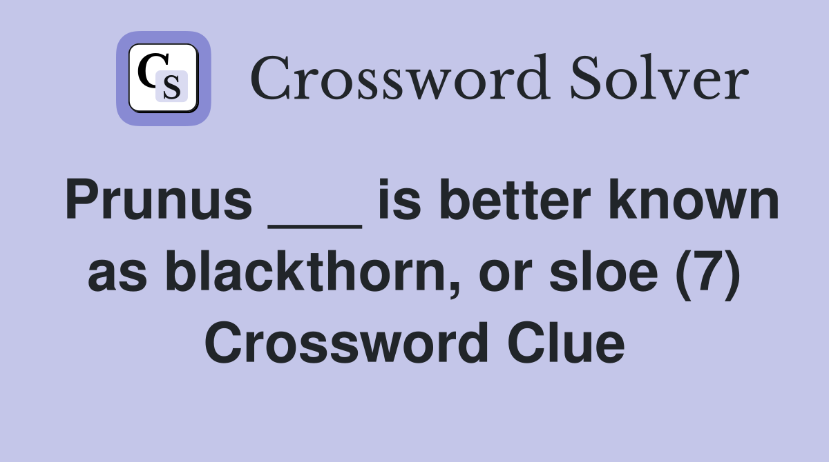 Prunus ___ is better known as blackthorn, or sloe (7) Crossword Clue