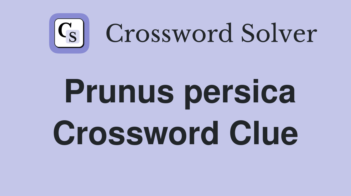 Prunus persica Crossword Clue