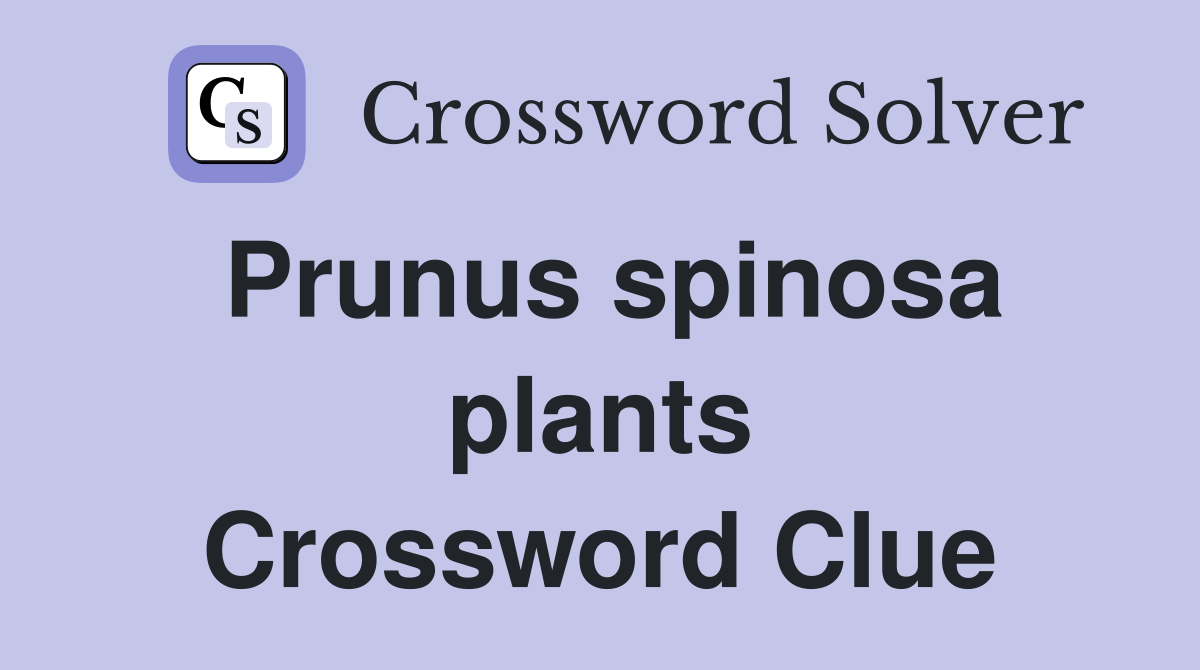 Prunus spinosa plants Crossword Clue