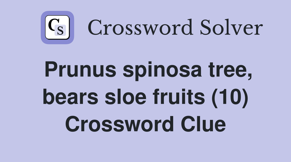 Prunus spinosa tree, bears sloe fruits (10) Crossword Clue