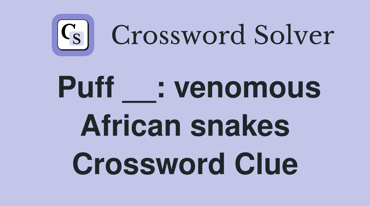 Puff __: venomous African snakes Crossword Clue