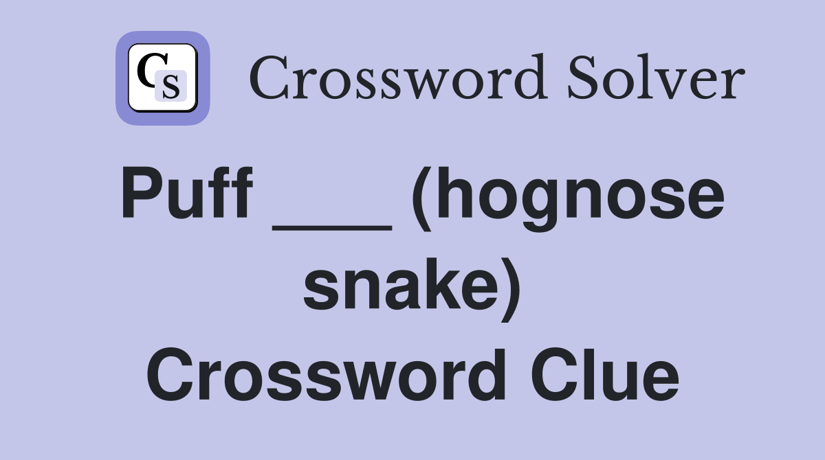 Puff ___ (hognose snake) Crossword Clue