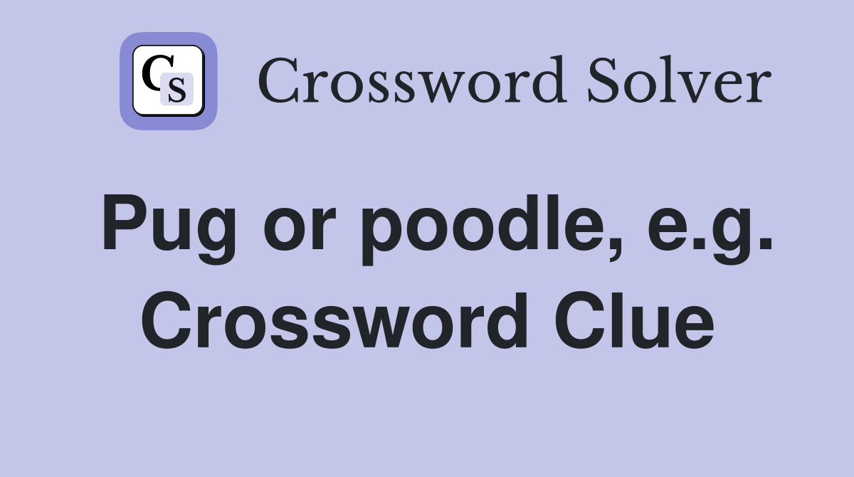 Pug or poodle, e.g. Crossword Clue