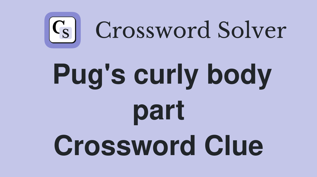 Pug's curly body part Crossword Clue