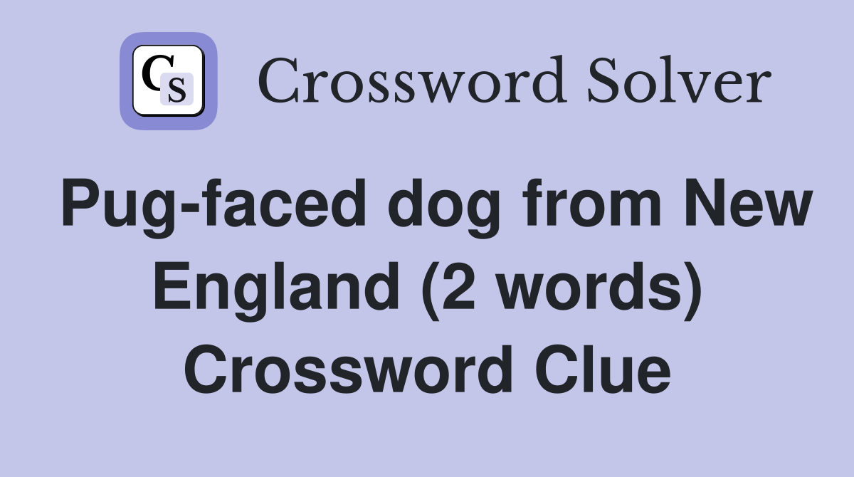 Pug-faced dog from New England (2 words) Crossword Clue