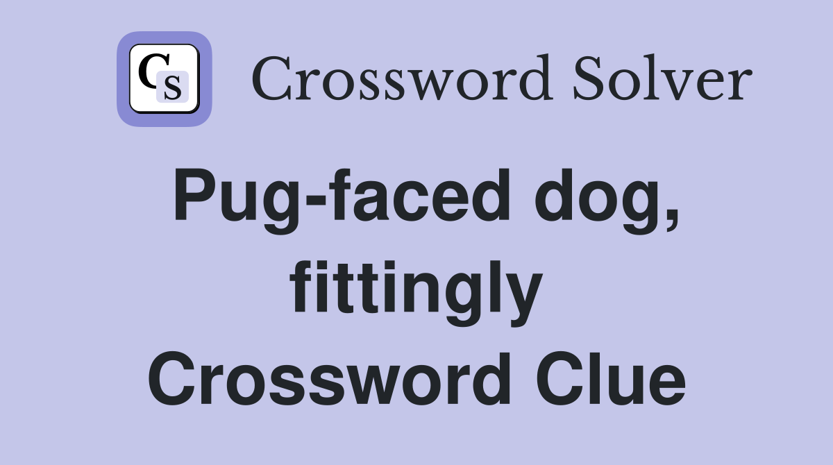 Pug-faced dog, fittingly Crossword Clue
