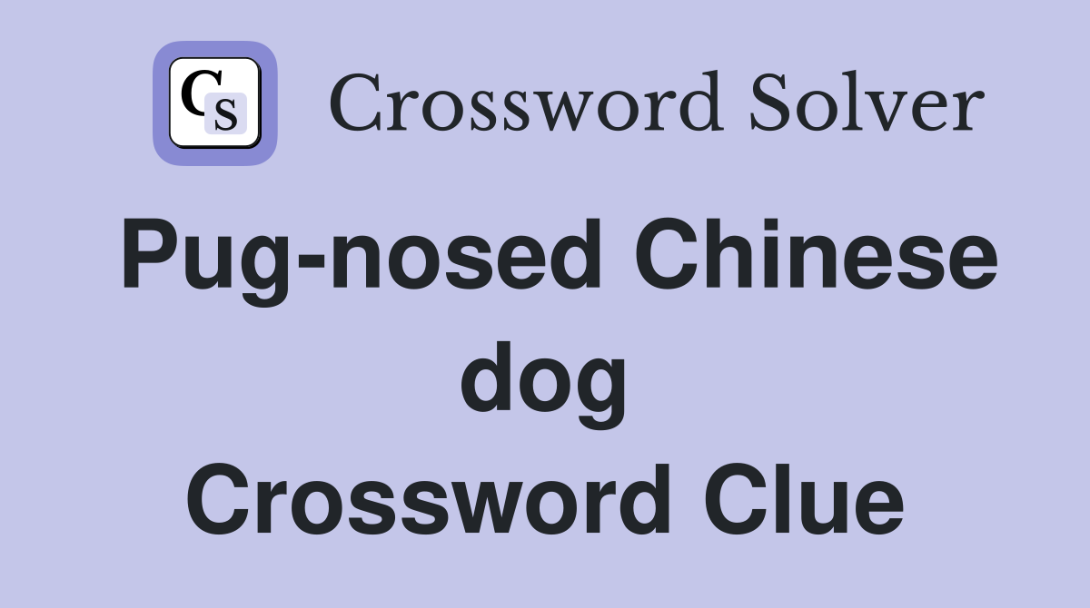 Pug-nosed Chinese dog Crossword Clue