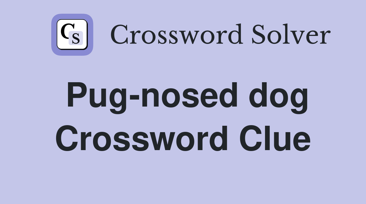Pug-nosed dog Crossword Clue