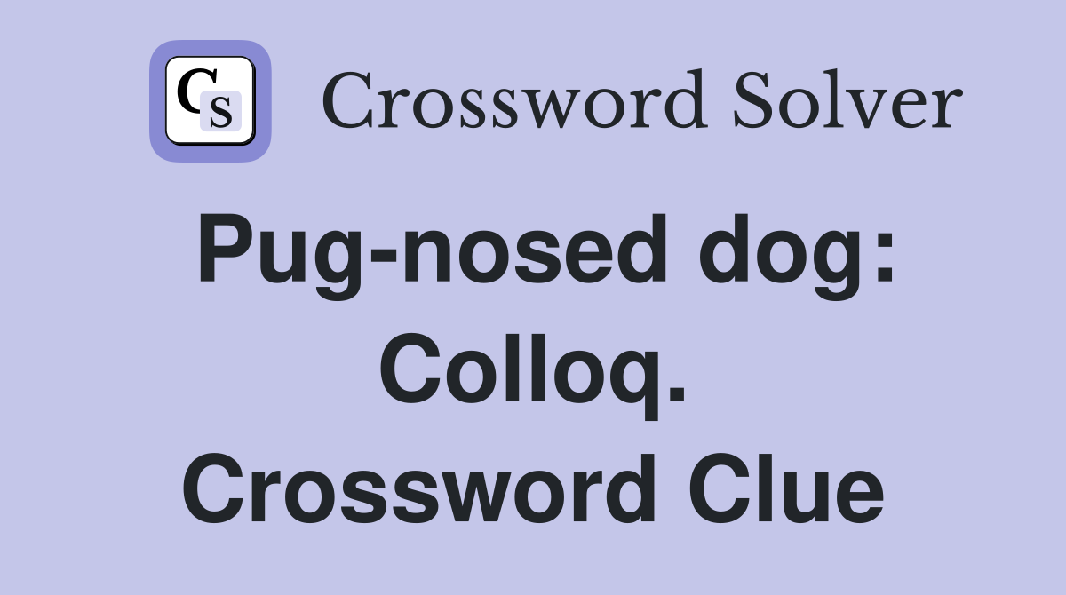 Pug-nosed dog: Colloq. Crossword Clue