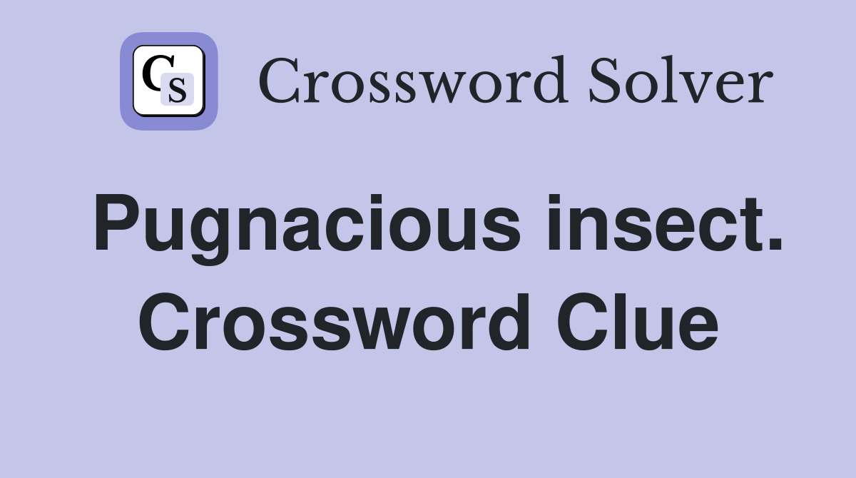 Pugnacious insect. Crossword Clue