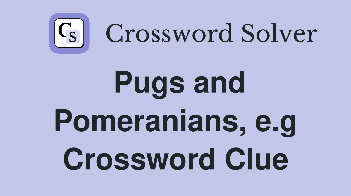 Pugs and Pomeranians, e.g Crossword Clue