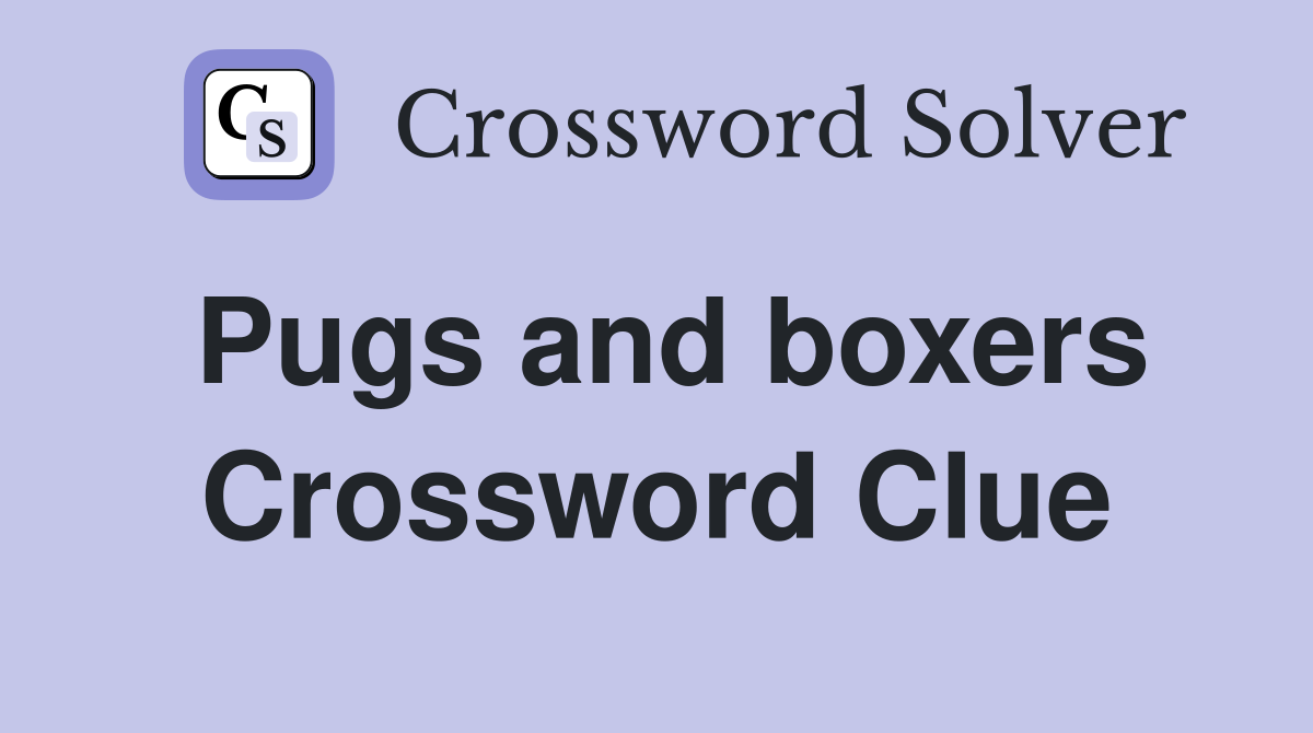 Pugs and boxers Crossword Clue