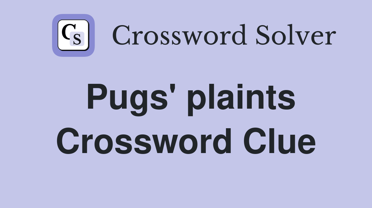 Pugs' plaints Crossword Clue