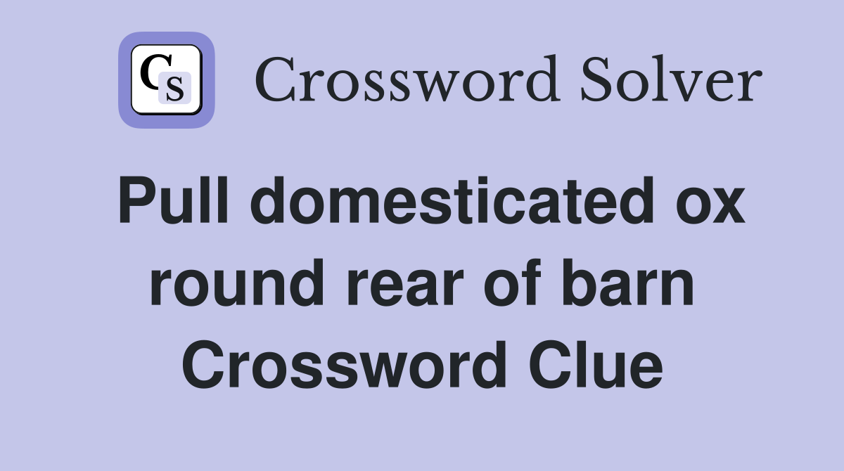Pull domesticated ox round rear of barn Crossword Clue