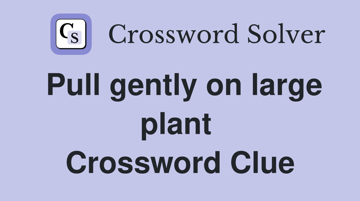 Pull gently on large plant  Crossword Clue