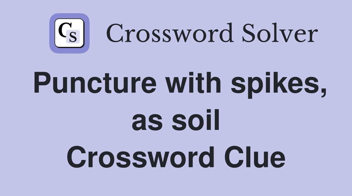 Puncture with spikes, as soil Crossword Clue