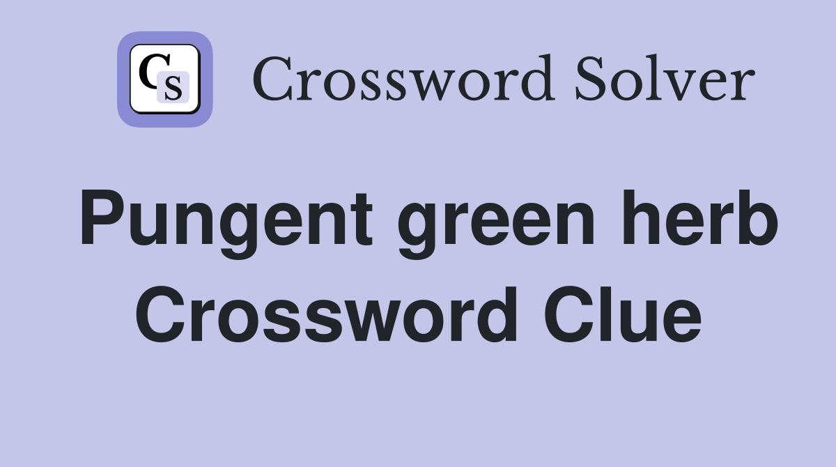 Pungent green herb Crossword Clue