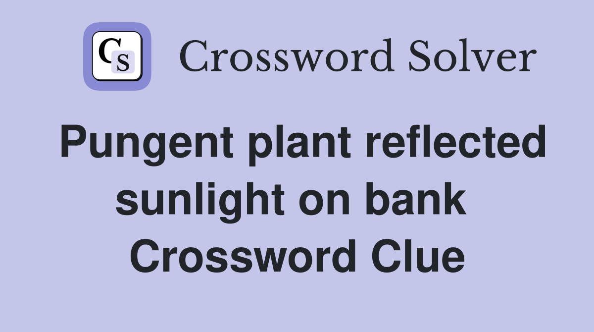 Pungent plant reflected sunlight on bank  Crossword Clue