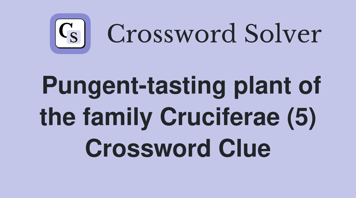 Pungent-tasting plant of the family Cruciferae (5) Crossword Clue