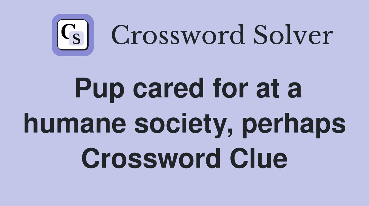 Pup cared for at a humane society, perhaps Crossword Clue