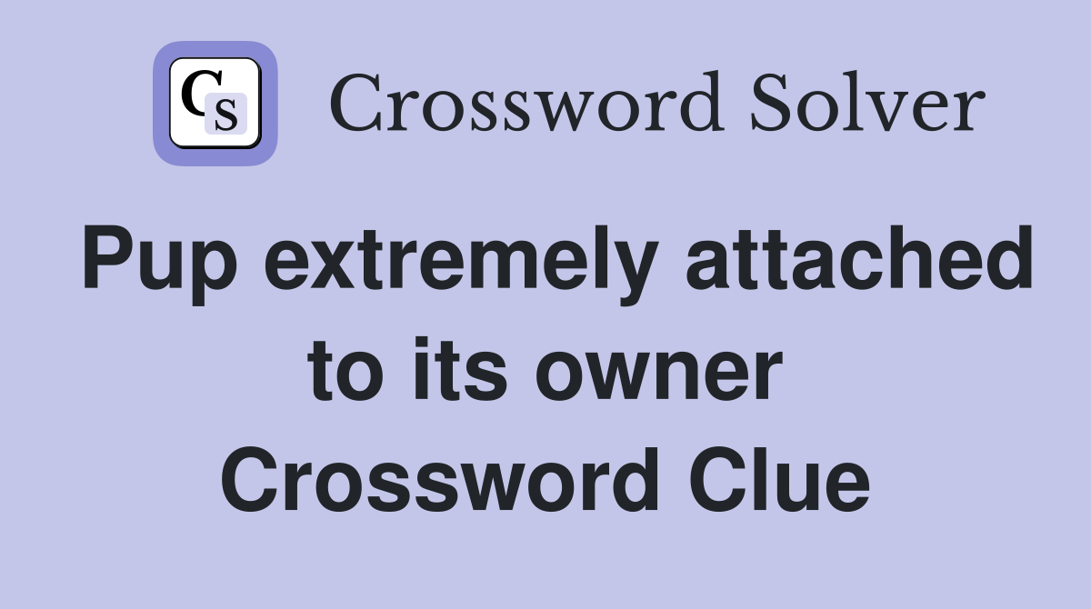 Pup extremely attached to its owner Crossword Clue
