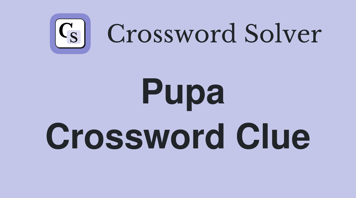 Pupa Crossword Clue