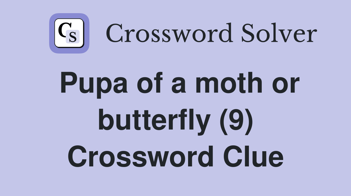 Pupa of a moth or butterfly (9) Crossword Clue